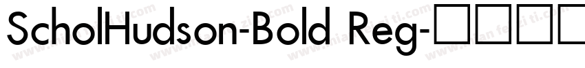 ScholHudson-Bold Reg字体转换
